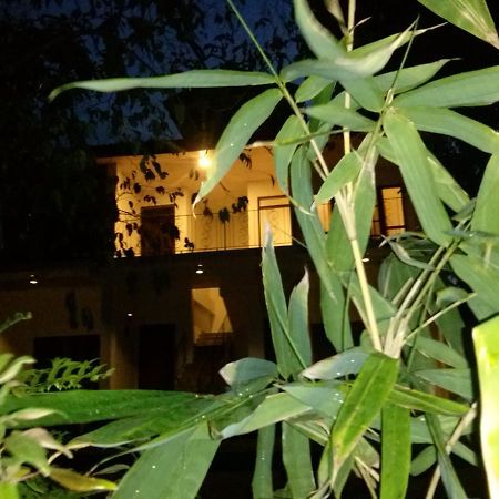 Green Earth Resort And Restaurant Dambulla Kültér fotó